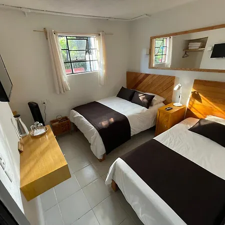 Hostal Roma Condesa-2